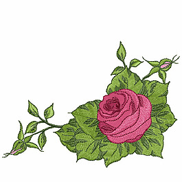 繡花 植物 花卉 花朵 樹葉 免費素材