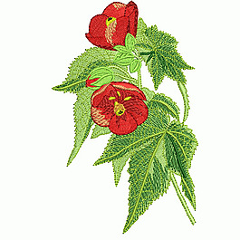 繡花 植物 花卉 花朵 樹(shù)葉 免費(fèi)素材