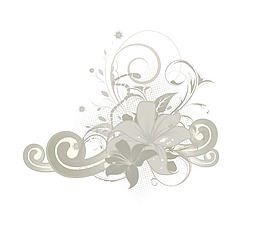 花卉插圖
