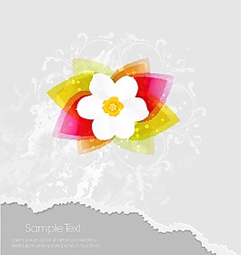 花卉背景矢量插畫