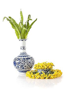 蔬菜圖片