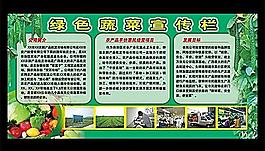绿色蔬菜宣传栏 展板图片