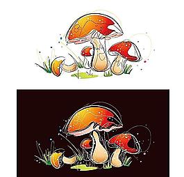 蘑菇圖片