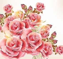 玫瑰花矢量圖