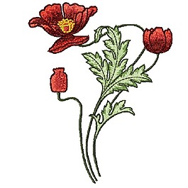 繡花 植物 花卉 花朵 樹葉 免費(fèi)素材