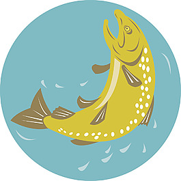 斑點鱒魚跳躍