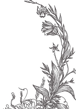 矢量花卉幀