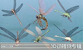 高清3D蜻蜓图片