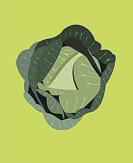 包菜圖片