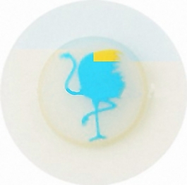 貼牌 動物 鴕鳥 圓形 免費素材