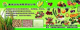 綠色實(shí)業(yè)圖片