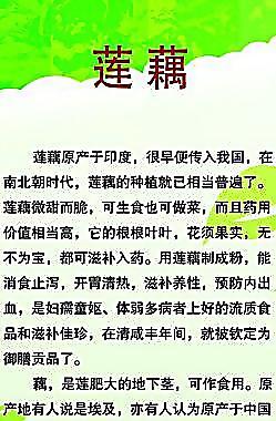 蔬菜莲藕图片