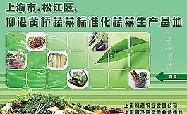 蔬菜推廣海報圖片