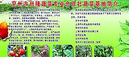 蔬菜基地圖片