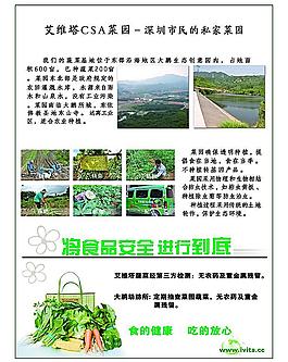 綠色蔬菜簡報圖片