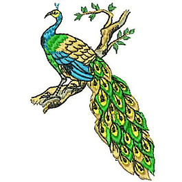 繡花 孔雀 免費素材