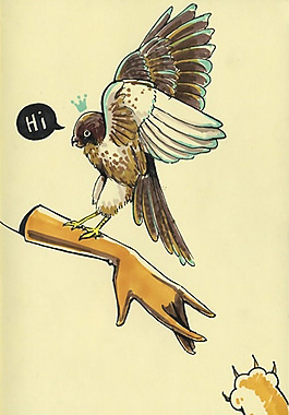 位圖 插畫 動(dòng)物 鳥類 手 免費(fèi)素材