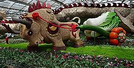 山東壽光蔬菜博覽會圖片