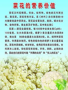 菜花的营养价值图片