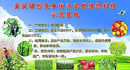 蔬菜基地圖片