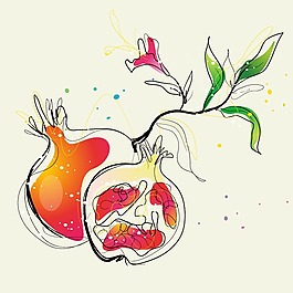 印花矢量圖 水果 石榴 色彩 橘黃色 免費(fèi)素材