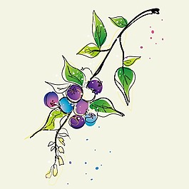 印花矢量图 水果 葡萄 色彩 紫色 免费素材