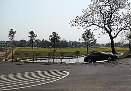 蔬菜基地油菜花圖片