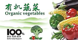 有機蔬菜圖片