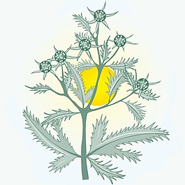 印花矢量圖 植物 花卉 優(yōu)雅植物 色彩 免費(fèi)素材