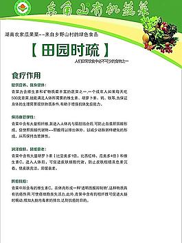 蔬菜宣传单图片