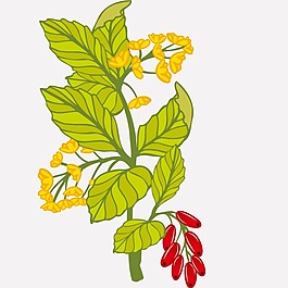 印花矢量圖 植物 花卉 優(yōu)雅植物 色彩 免費素材