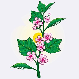 印花矢量圖 植物 花卉 優(yōu)雅植物 色彩 免費素材
