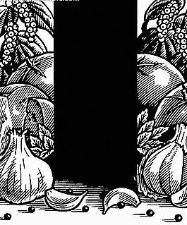 蔬菜圖片