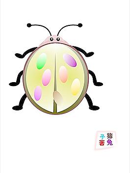 甲蟲圖片