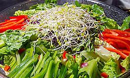 蔬菜 沙拉圖片