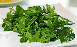穿心莲图片