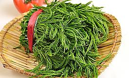 滿口香圖片