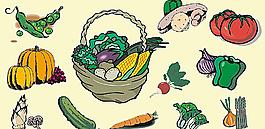 蔬菜大全圖片