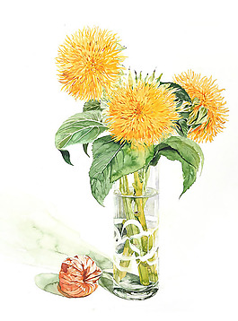 位圖 植物插畫 植物插畫師 柘植彩子 藝術(shù)效果 免費(fèi)素材