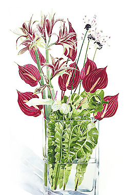 位圖 植物插畫 植物插畫師 柘植彩子 藝術(shù)效果 免費(fèi)素材