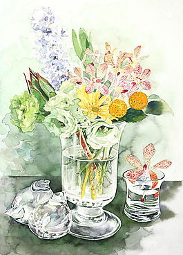 位圖 植物插畫 植物插畫師 柘植彩子 藝術(shù)效果 免費(fèi)素材