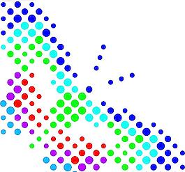 彩蝶圖片