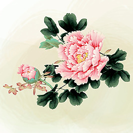 位圖 植物 花卉 優(yōu)雅植物 藝術(shù)效果 免費素材