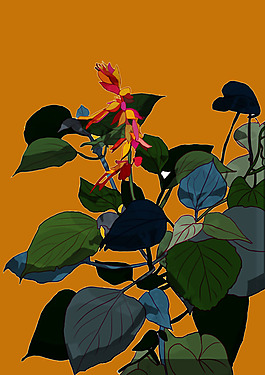 位圖 植物 花卉 優(yōu)雅植物 色彩 免費(fèi)素材
