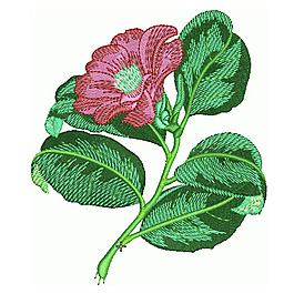 繡花 植物 花朵 樹葉 免費(fèi)素材