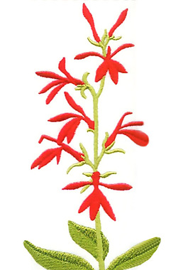 繡花 花卉 家紡 免費(fèi)素材