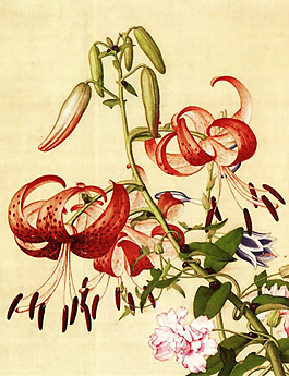 家紡 位圖 花卉 免費(fèi)素材