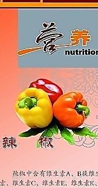 蔬菜 辣椒圖片