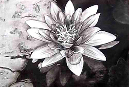 家紡 位圖 花卉 免費素材