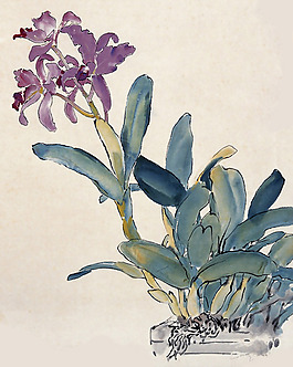 家紡 位圖 花卉 免費(fèi)素材